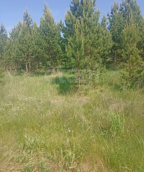 земля г Миасс п Новотагилка Миасский городской округ фото 3