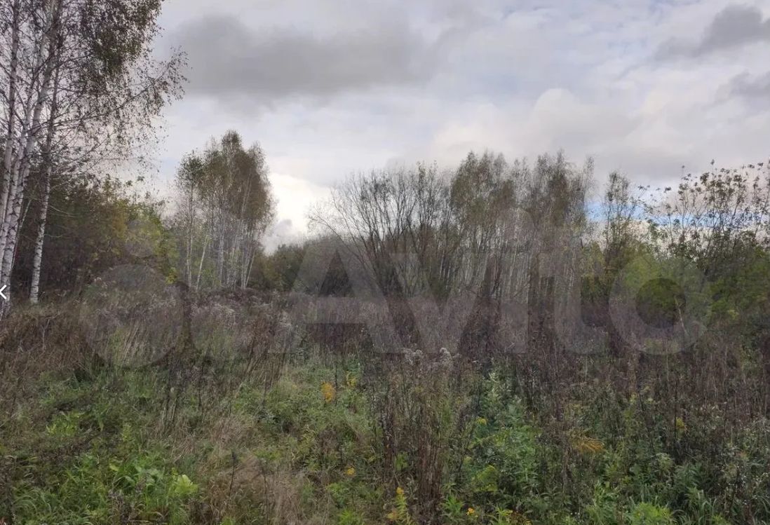 земля г Бор сельский пос. Железнодорожный, Центральная ул., 55 фото 1