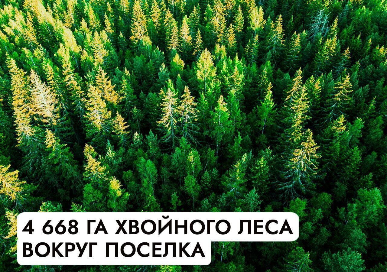 земля г Истра Павловская Слобода, 22 км, КП Миллениум парк, Минское шоссе фото 11