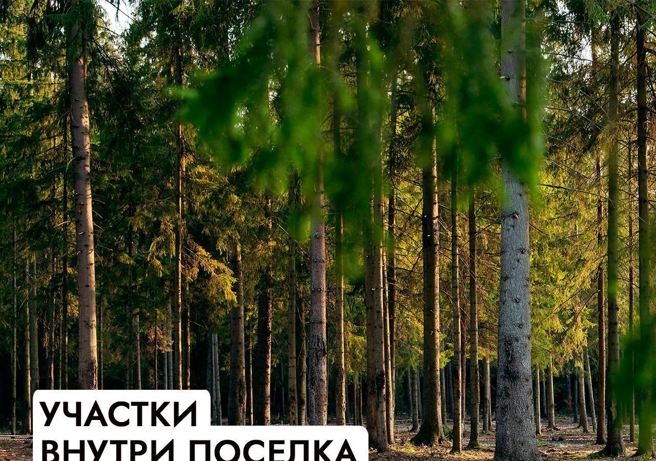 земля г Истра Павловская Слобода, 22 км, КП Миллениум парк, Минское шоссе фото 16