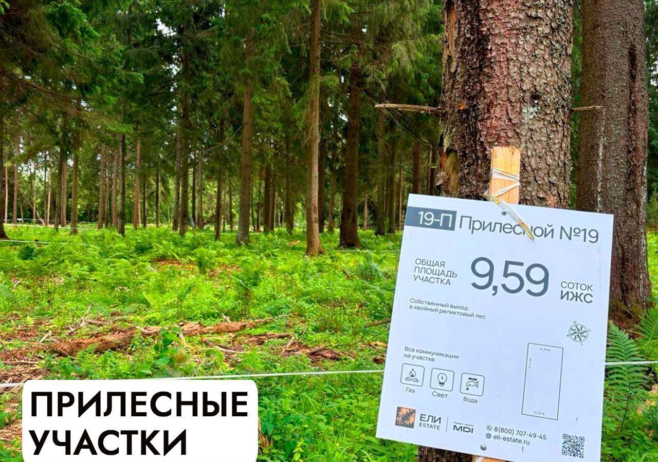 земля г Истра Павловская Слобода, 22 км, КП Миллениум парк, Минское шоссе фото 18