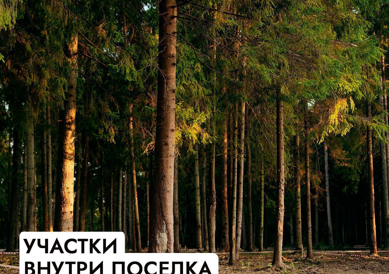 земля г Истра Павловская Слобода, 22 км, КП Миллениум парк, Минское шоссе фото 28