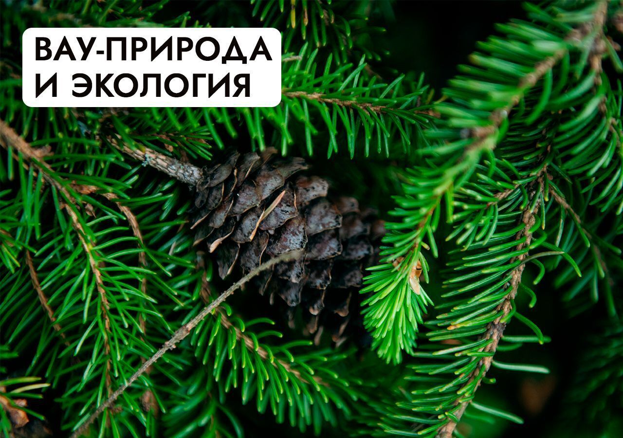 земля г Истра Павловская Слобода, 22 км, КП Миллениум парк, Минское шоссе фото 32