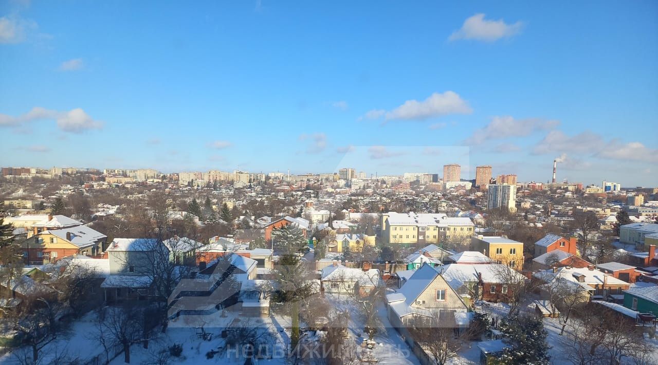 квартира г Курск р-н Центральный ул Ломоносова 47 фото 15