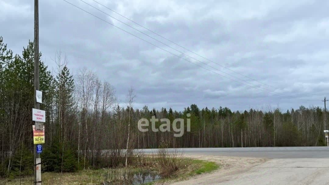 земля г Сыктывкар снт тер ЧовскоеЧовские зори Човское тер. фото 6