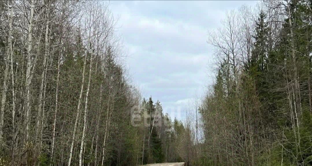 земля г Сыктывкар снт тер ЧовскоеЧовские зори Човское тер. фото 8