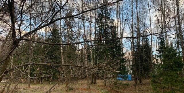 земля Павловская Слобода, 23 км, коттеджный пос. Лесные Зори, Западная ул, Волоколамское шоссе фото