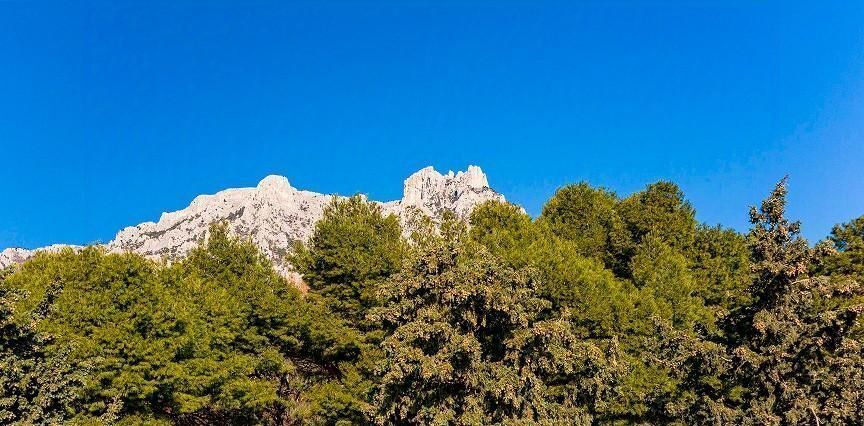 квартира г Ялта г Алупка ш Севастопольское 2а фото 9