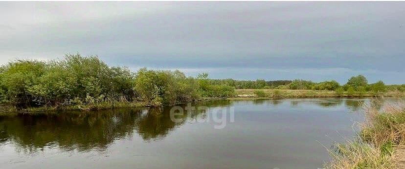 дом г Муром ул Зеленая 7 с. Борисоглеб фото 26