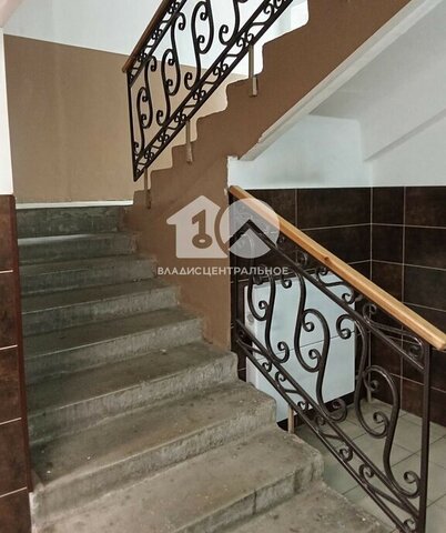 Студенческая ул Волховская 33/1 фото