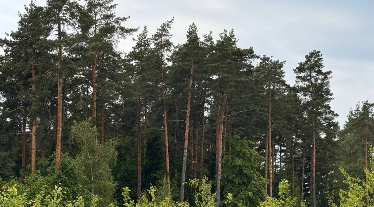 земля городской округ Богородский г Электроугли Железнодорожная фото 5