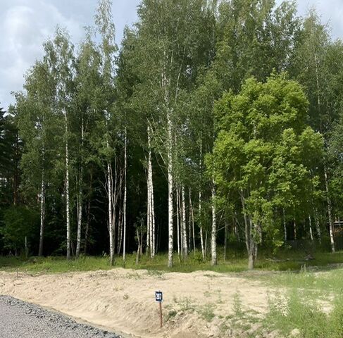 д Четверяково с пос, Сердце Вуоксы кп, Красноозерное фото