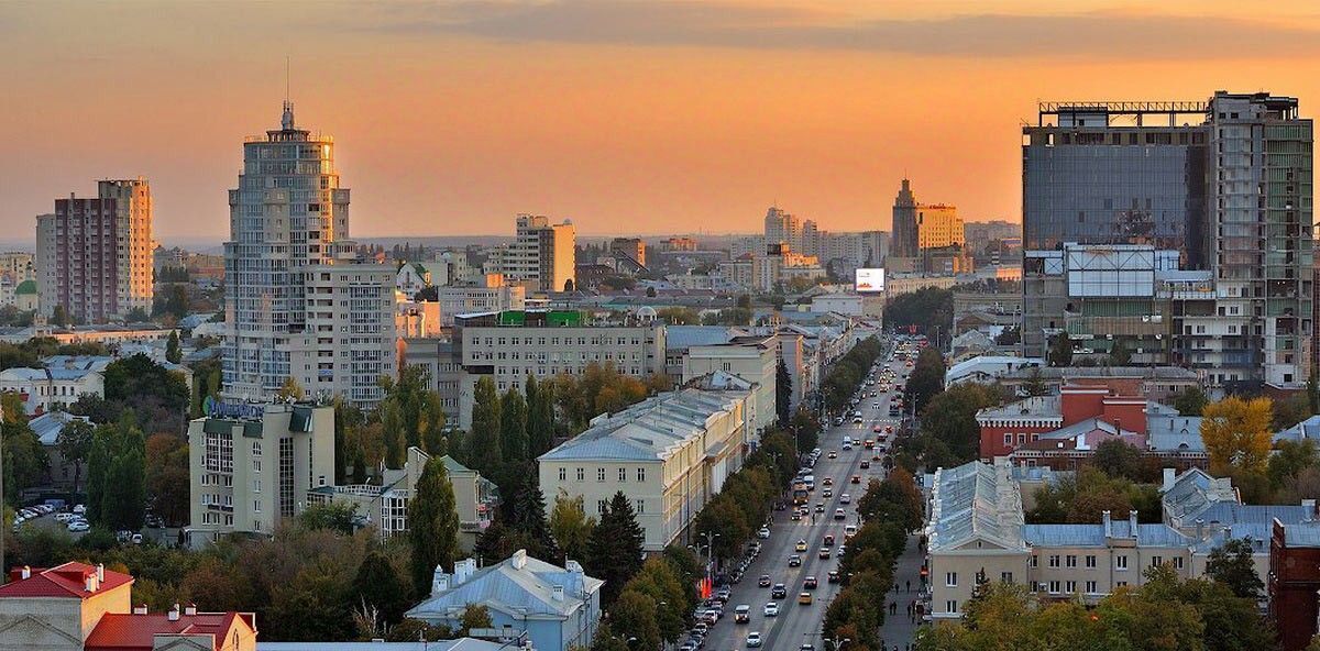 квартира г Воронеж р-н Ленинский ул Куколкина 18 фото 4