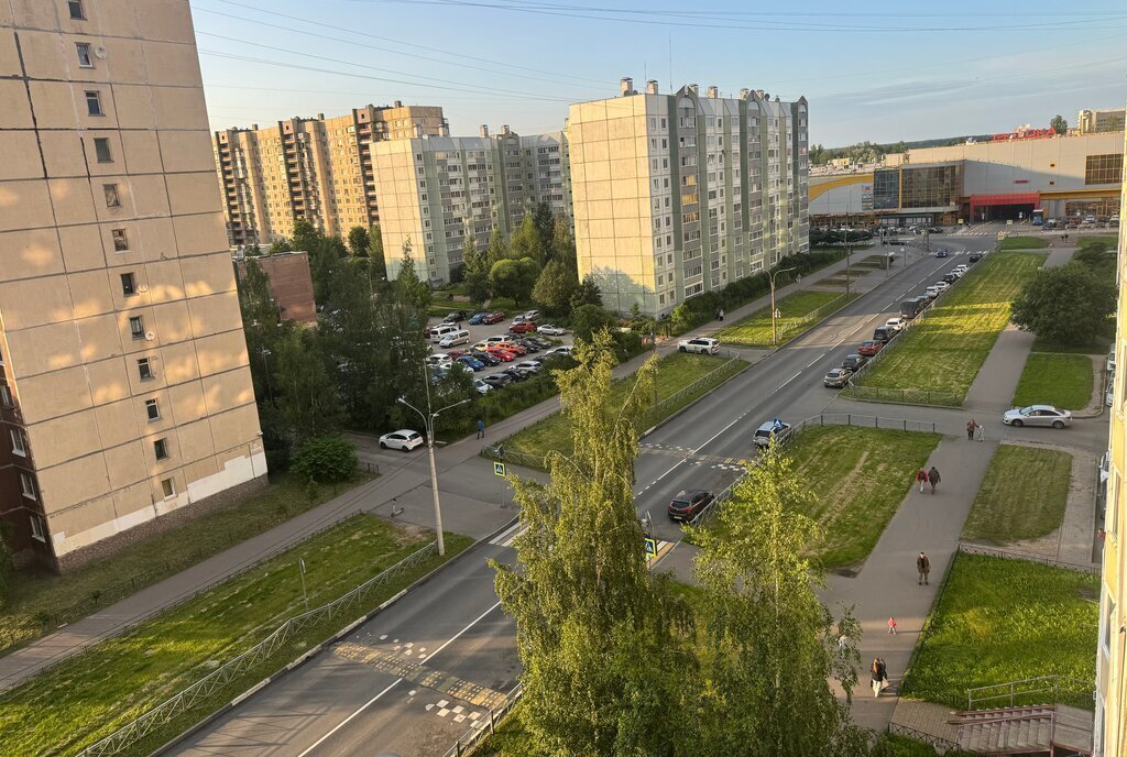 квартира г Колпино ул Ижорского Батальона 16 метро Обухово фото 29