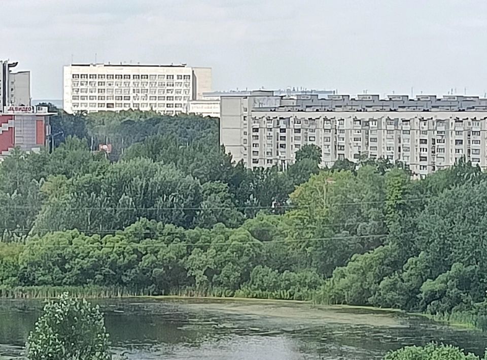 квартира г Ульяновск р-н Железнодорожный ул Университетская Набережная 5 фото 4