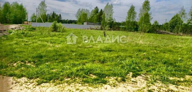 Зеленоград—Крюково, Элитные Дачи, Московская область, городской округ Солнечногорск фото