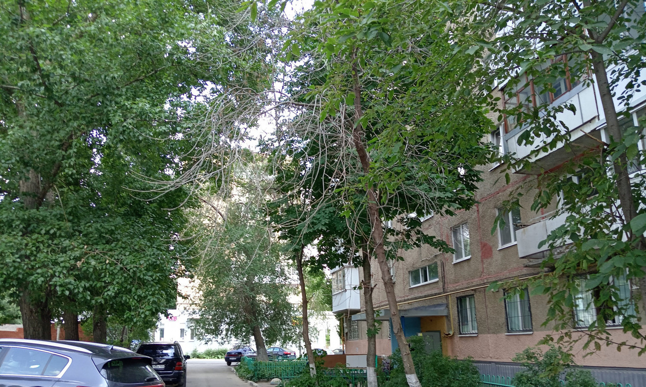 квартира г Саратов ул им Радищева А.Н. 74 фото 18