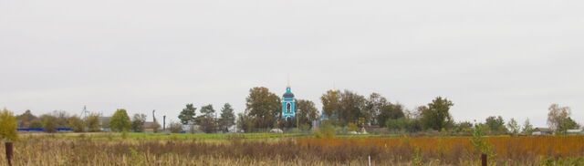 земля Деревня Никольское с/пос фото