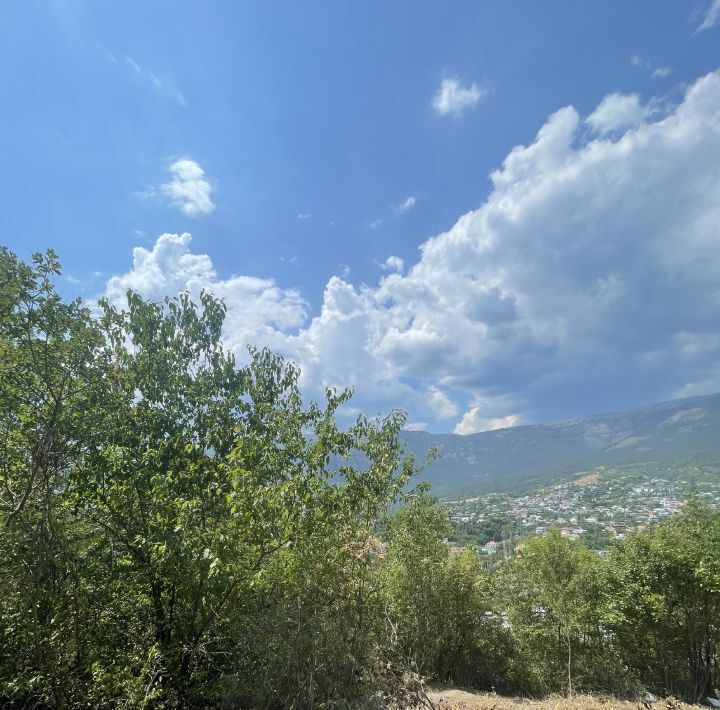 земля г Ялта фото 8