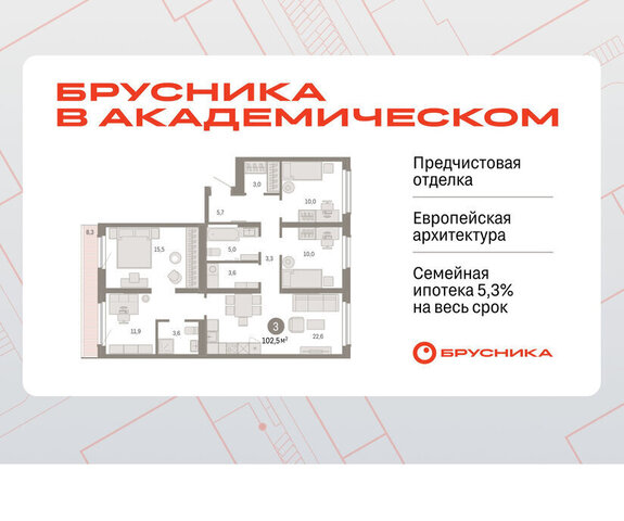 Академический Чкаловская ЖК Брусника в Академическом 19-й квартал фото