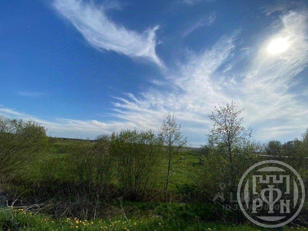 земля г Сосновый Бор Лебяженское городское поселение, Коваши, 37 фото 3
