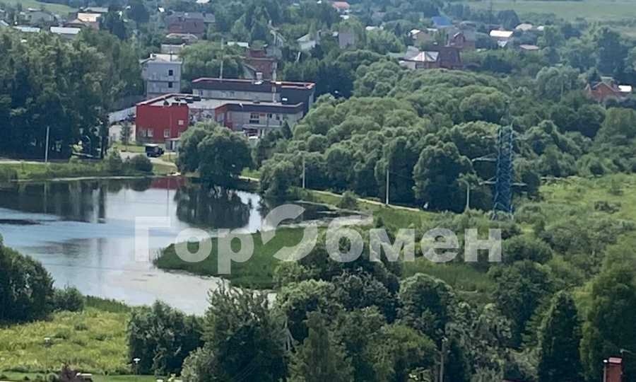 квартира г Щербинка Барыши ул Барышевская Роща 12 метро Щербинка м-н фото 21