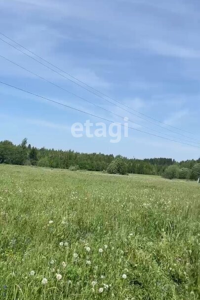 земля г Краснокамск п Ласьва фото 2