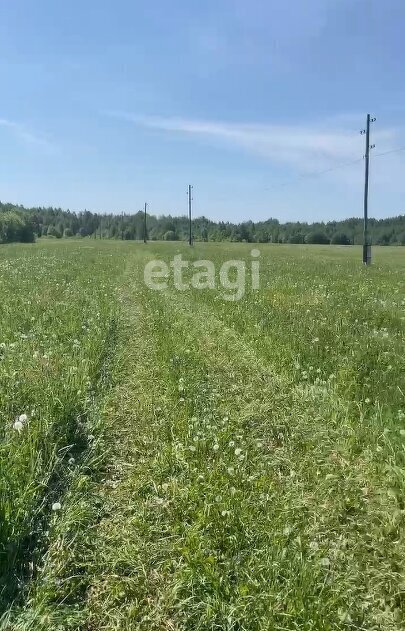 земля г Краснокамск п Ласьва фото 4