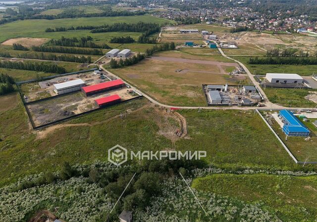 ш Колтушское Мурманское шоссе, 7 км, Колтушское городское поселение фото