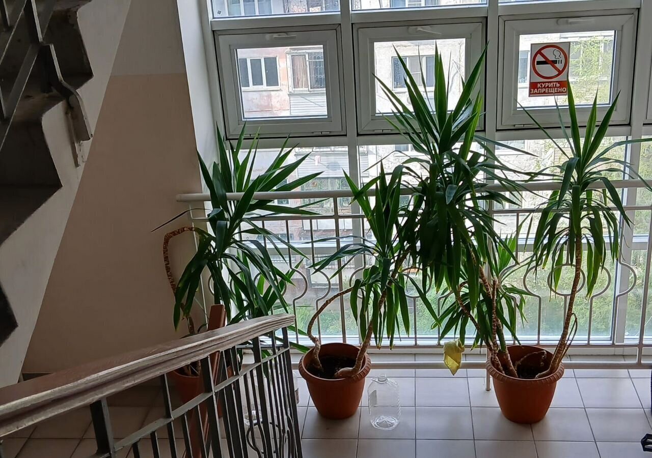 квартира г Хабаровск р-н Центральный ул Панькова 29б фото 4