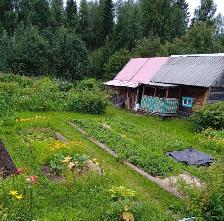 дом г Новодвинск снт Маяк ул. Земляничная, 318 фото 2
