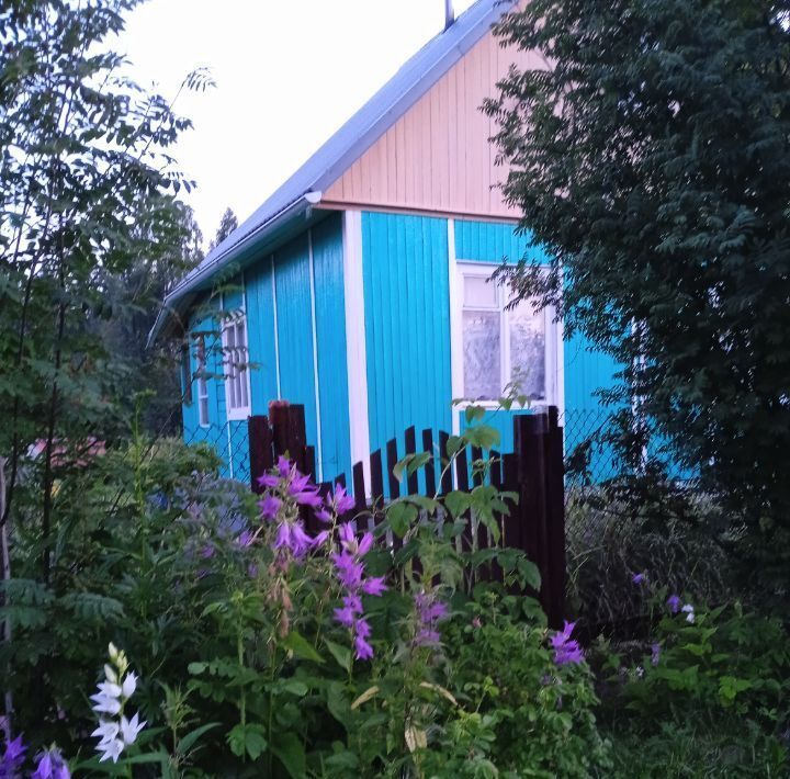 дом г Новодвинск снт Маяк ул. Земляничная, 318 фото 4