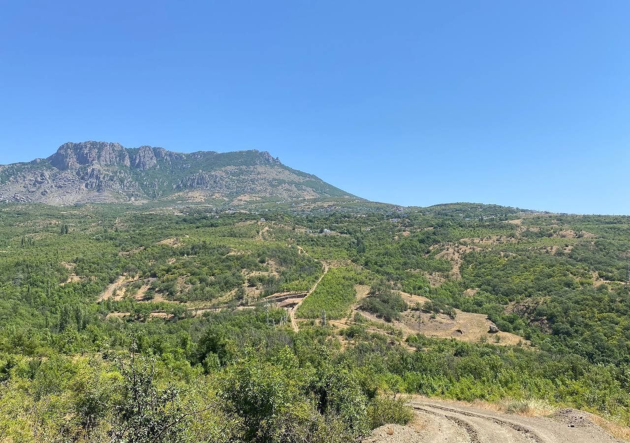 земля г Алушта с Лучистое ул Грушевая фото 9