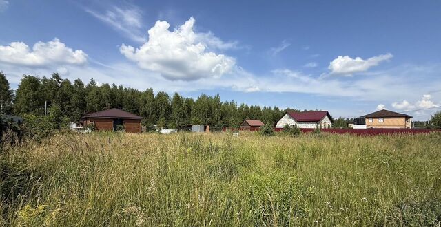 днп Луговое 58 км, Дрезна, Носовихинское шоссе фото