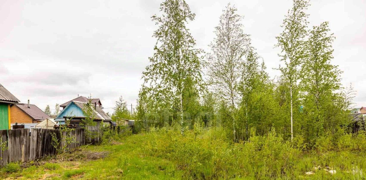 земля г Сургут снт терВозрождение ул 9-я фото 3