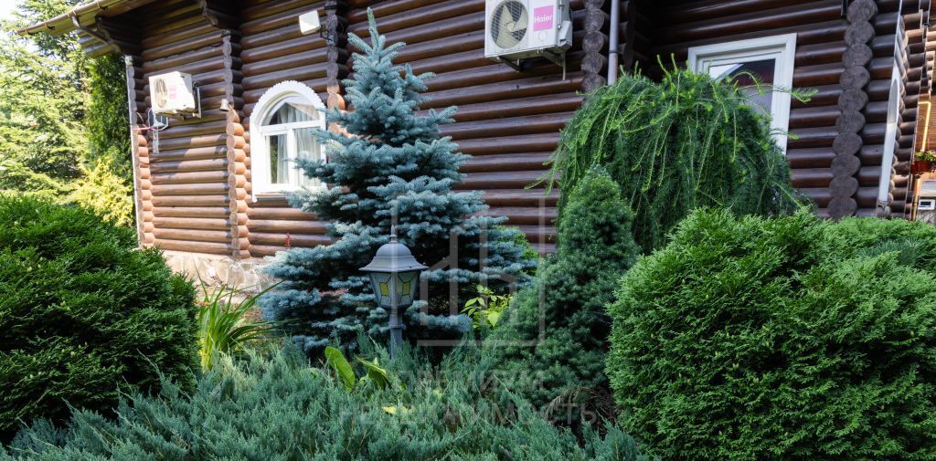 дом г Лосино-Петровский 28, Сосновка садовое товарищество фото 6