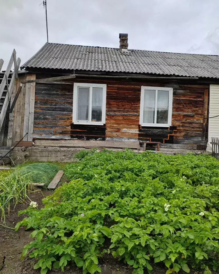 дом г Александровск рп Всеволодо-Вильва ул Студенческая 2а фото 3