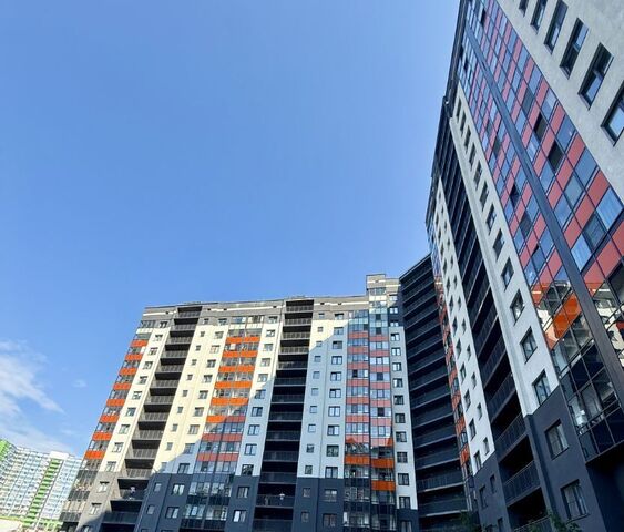 пр-кт Европейский 18к/2 Улица Дыбенко, Заневское городское поселение фото