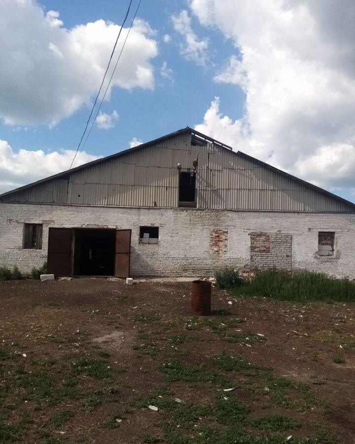 земля г Курган Центральный пл имени В.И. Ленина фото 3