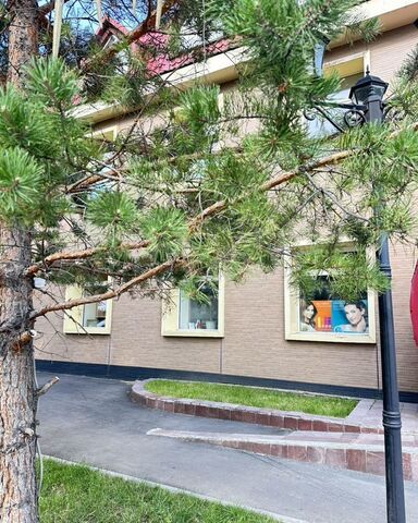 р-н Центральный ул Чкалова 6 Кемеровская обл. — Кузбасс фото