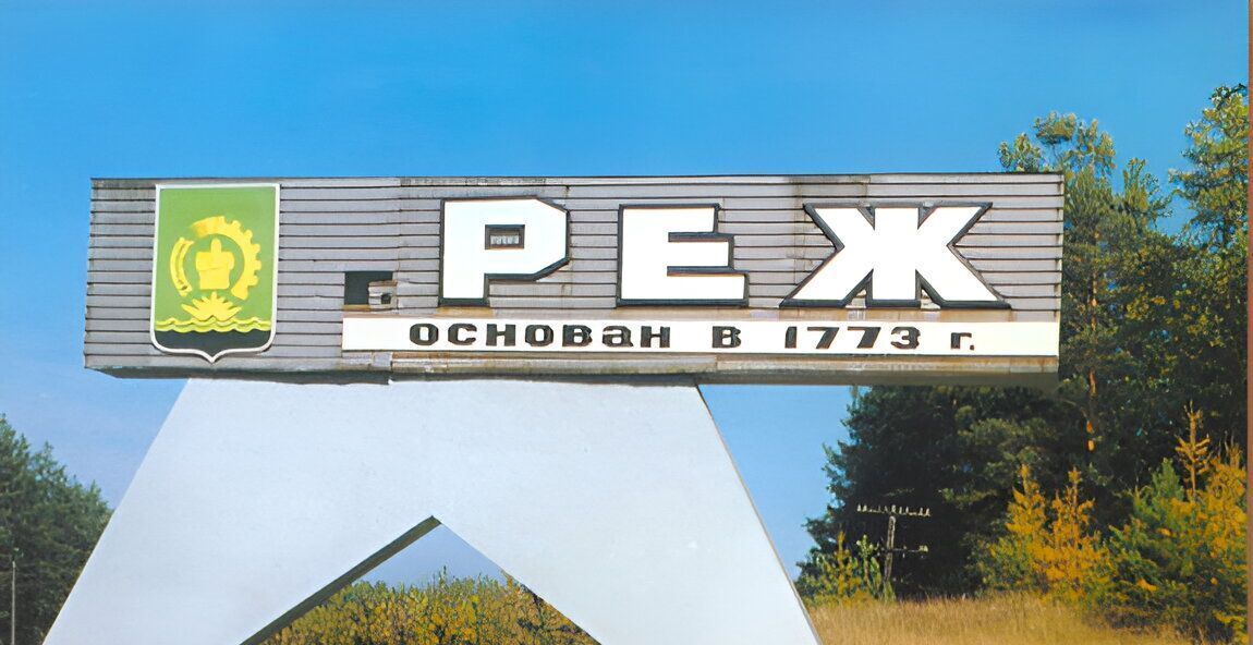 дом р-н Режевской г Реж ул Зеленая 55 фото 4