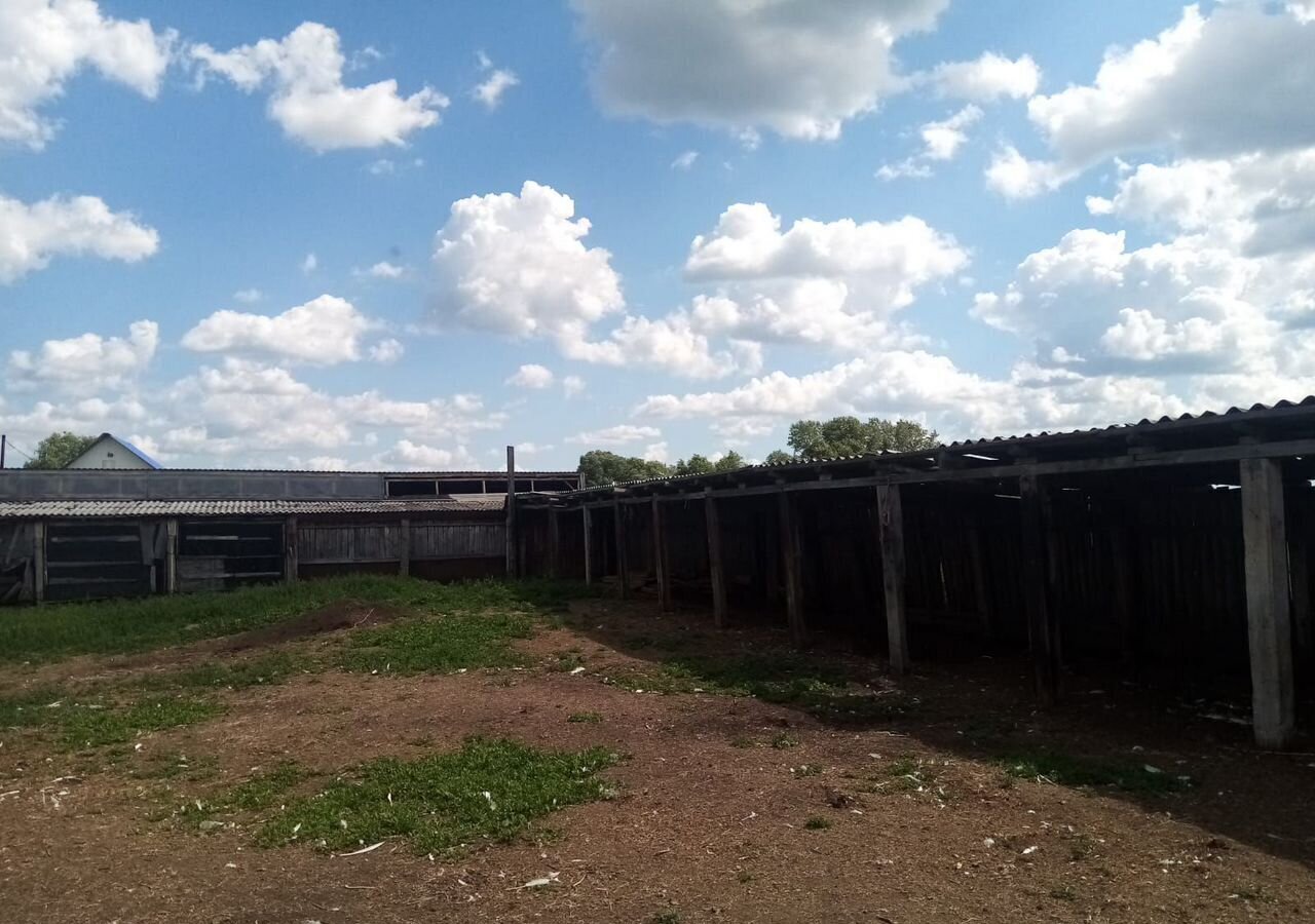 земля г Курган Центральный пл имени В.И. Ленина фото 5