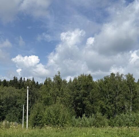 земля р-н Октябрьский ул. Вешняя фото