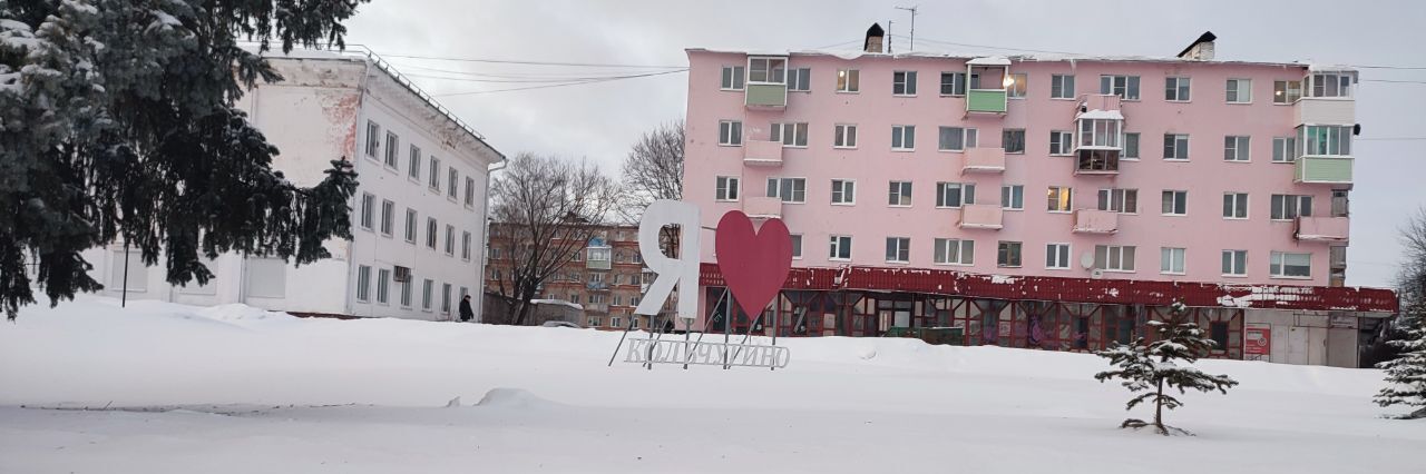 земля р-н Кольчугинский г Кольчугино ул Полевая муниципальное образование, д. Литвиново фото 13
