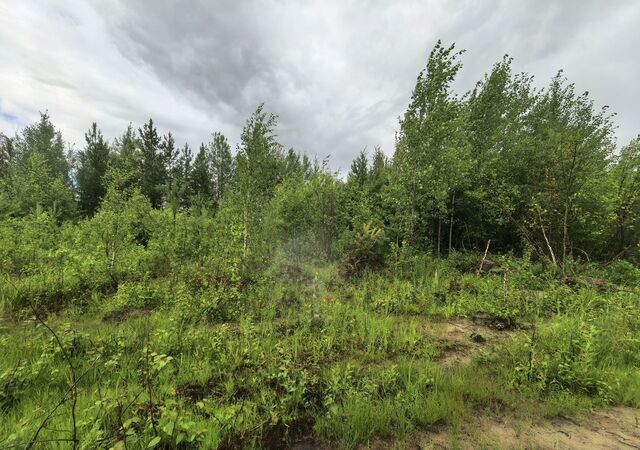 сельское поселение Солнечный, СТ Богдановское, 8-я ул., 13, Тюменская обл., Сургут фото