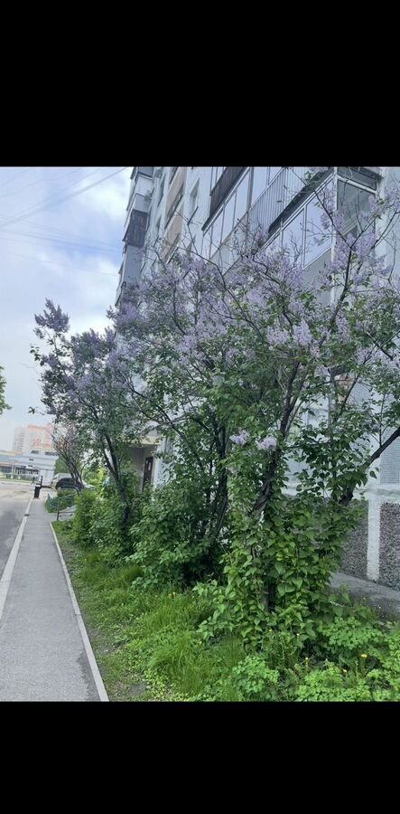 квартира г Новокузнецк р-н Центральный ул Тольятти 53 фото 12