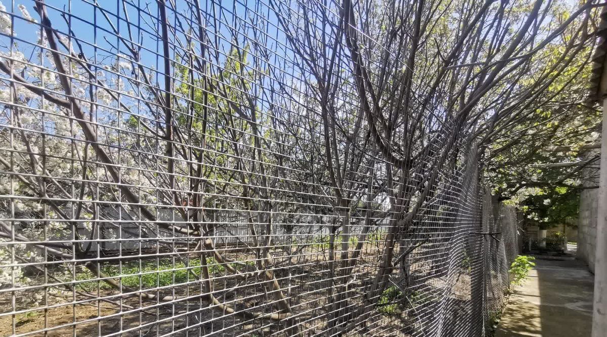 дом р-н Темрюкский г Темрюк ул Мира 99 Темрюкское городское поселение фото 19