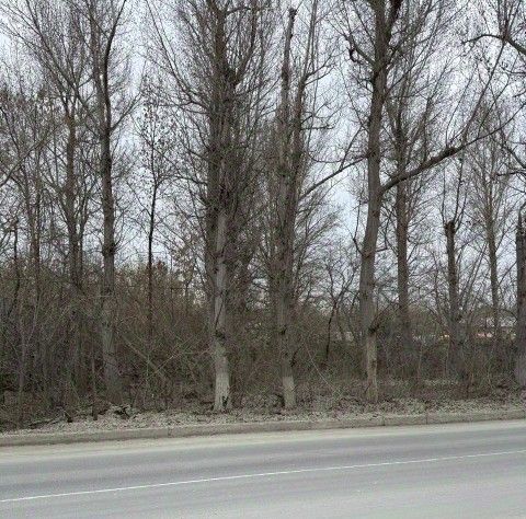 офис г Вольск п завода Большевик 31 фото 1