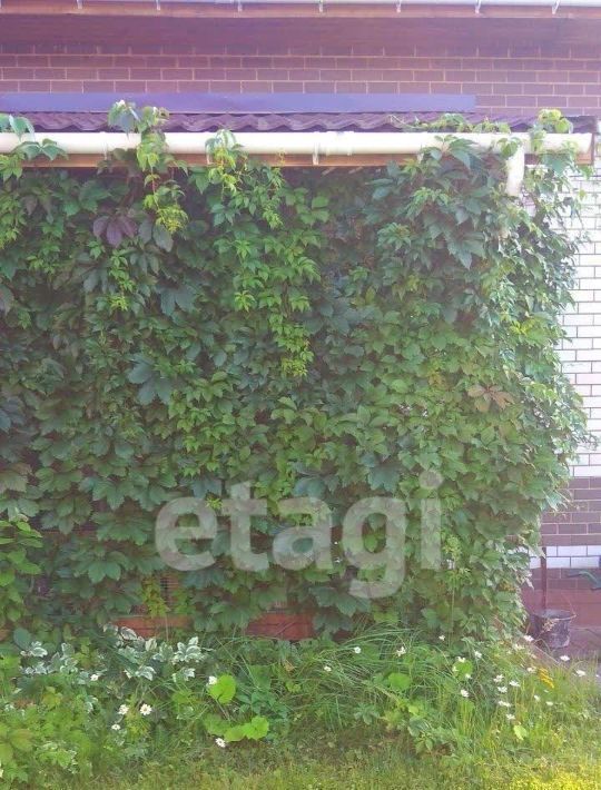дом г Кострома ул Кедрова 37/26 фото 37