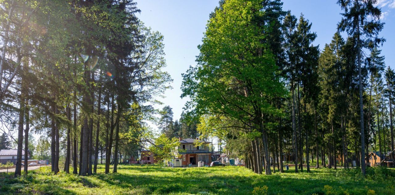 земля г Химки Сходня, Сходня Форест Парк кп фото 8